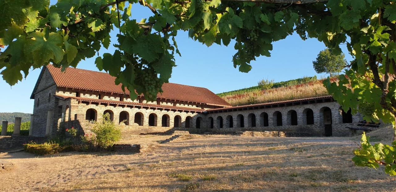 Art Of Living Mosel Διαμέρισμα Longuich Εξωτερικό φωτογραφία